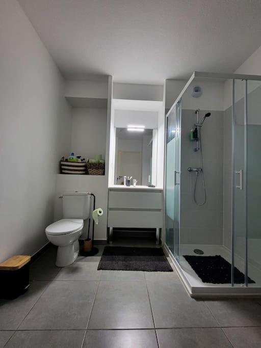Logement Entier 100% Sunny Studio Appartement Montpellier